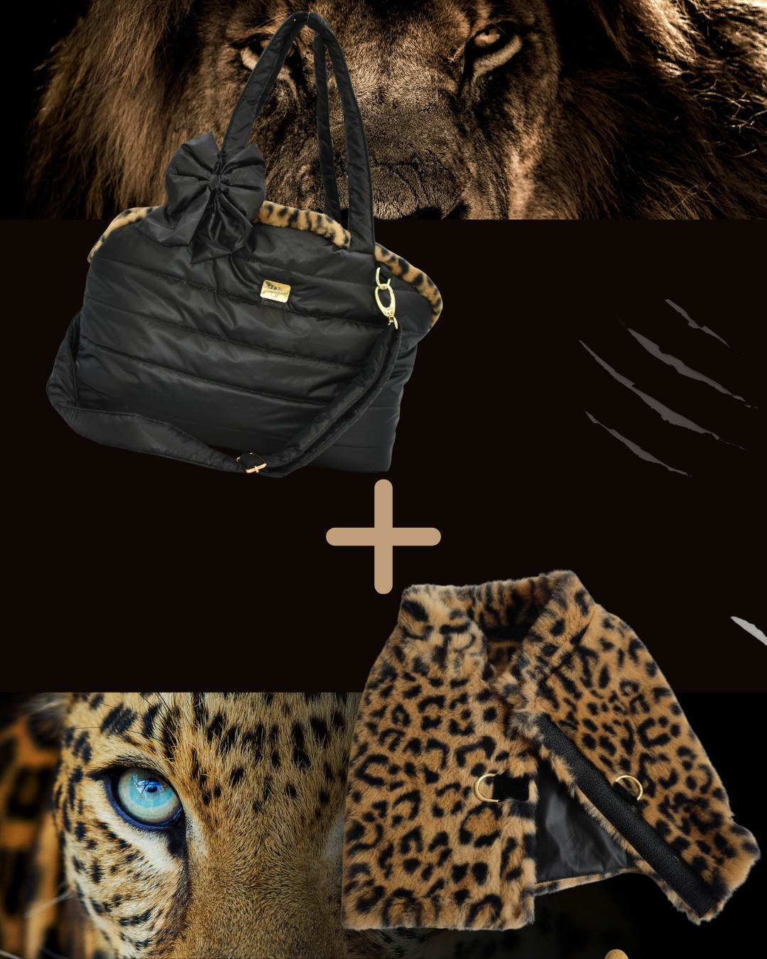 Pack Luxury: Borsa Trasportino e Pettorina Leopard per Cani